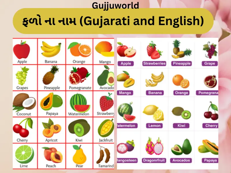 ફળો ના નામ (Gujarati and English)